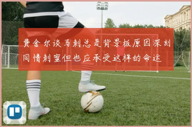 费舍尔谈马刺总是背景板原因深刻同情刺蜜但也应承受这样的命运