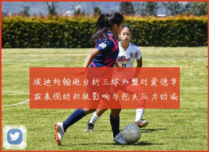 埃迪约翰逊分析三球加盟对爱德华兹表现的积极影响与包夹压力的减轻